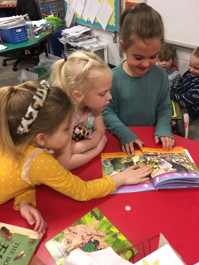 reading about insects with preschool